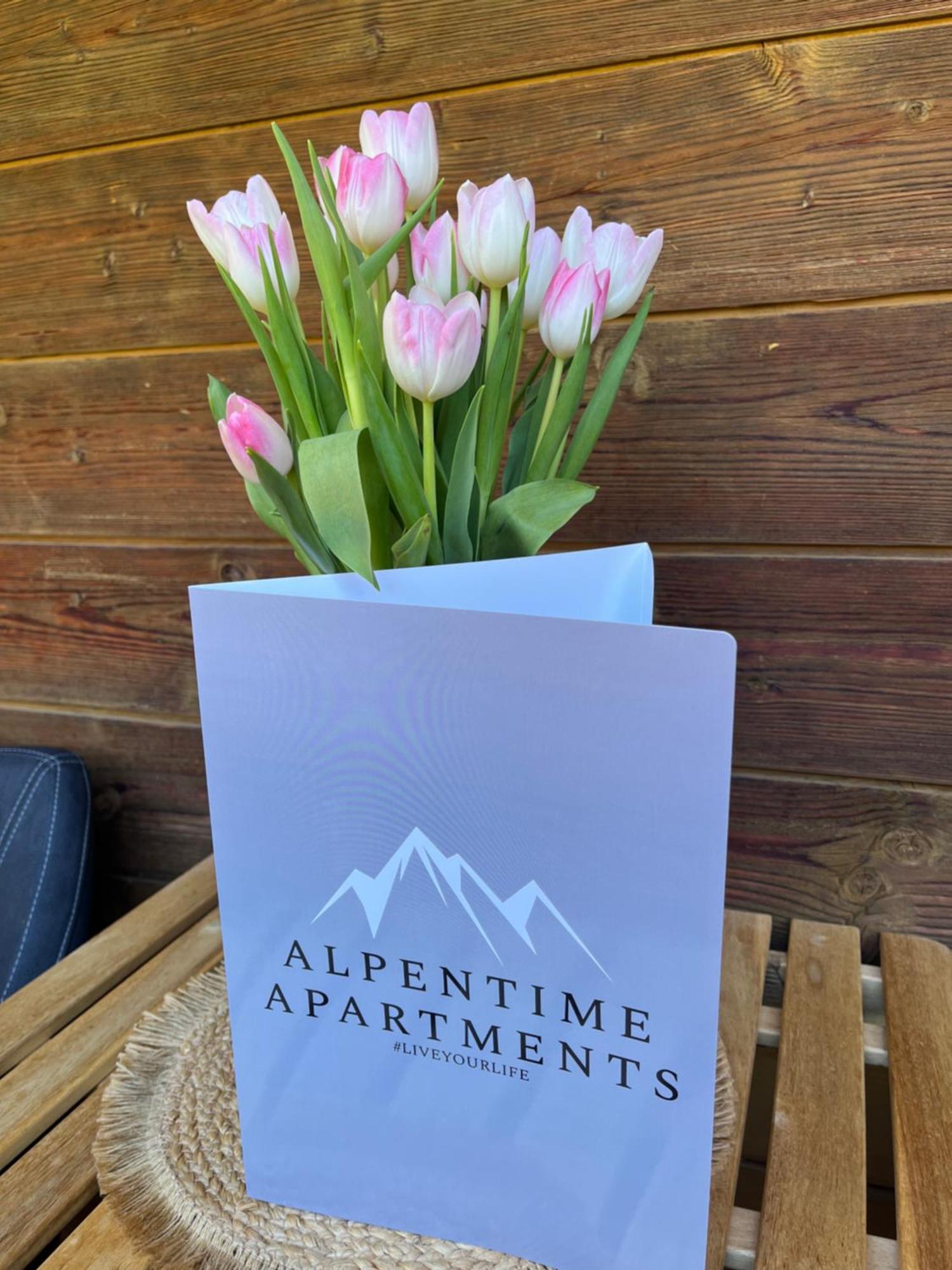 Alpentime Apartments Нойштифт-им-Штубайталь Экстерьер фото